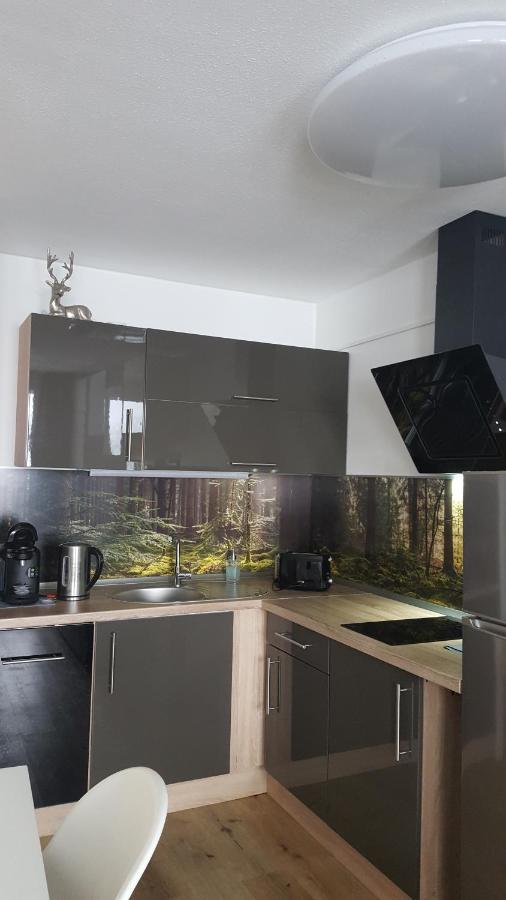 Ferienwohnung mit Blick in den Bayrischen Wald oberhalb von Sankt Engelmar Sankt Englmar Exterior foto