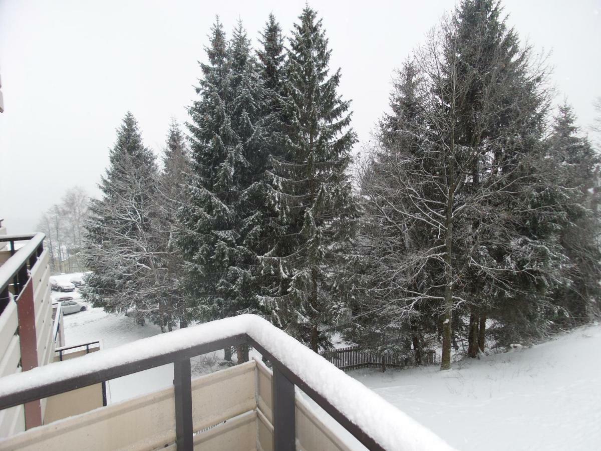 Ferienwohnung mit Blick in den Bayrischen Wald oberhalb von Sankt Engelmar Sankt Englmar Exterior foto