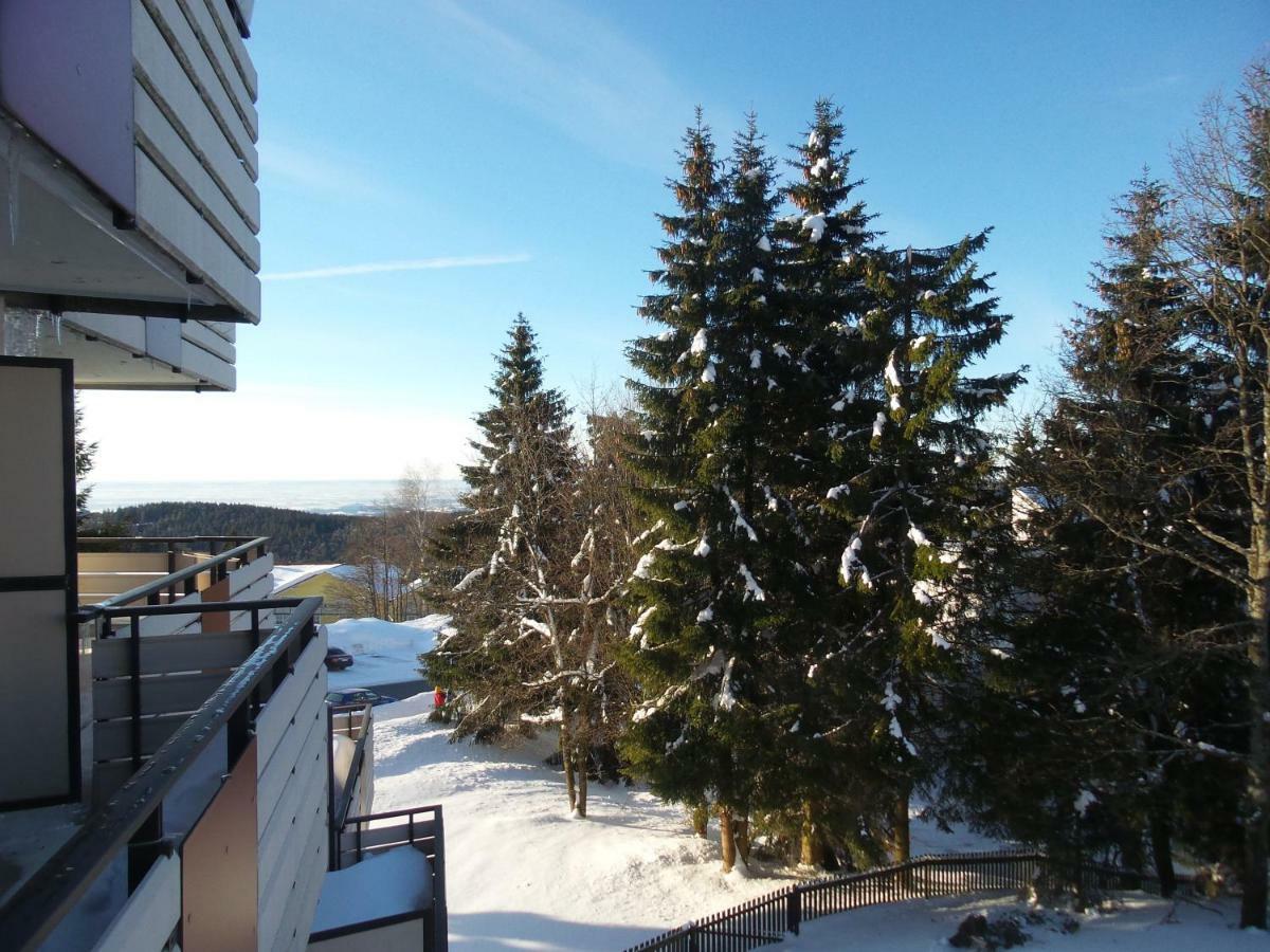 Ferienwohnung mit Blick in den Bayrischen Wald oberhalb von Sankt Engelmar Sankt Englmar Exterior foto