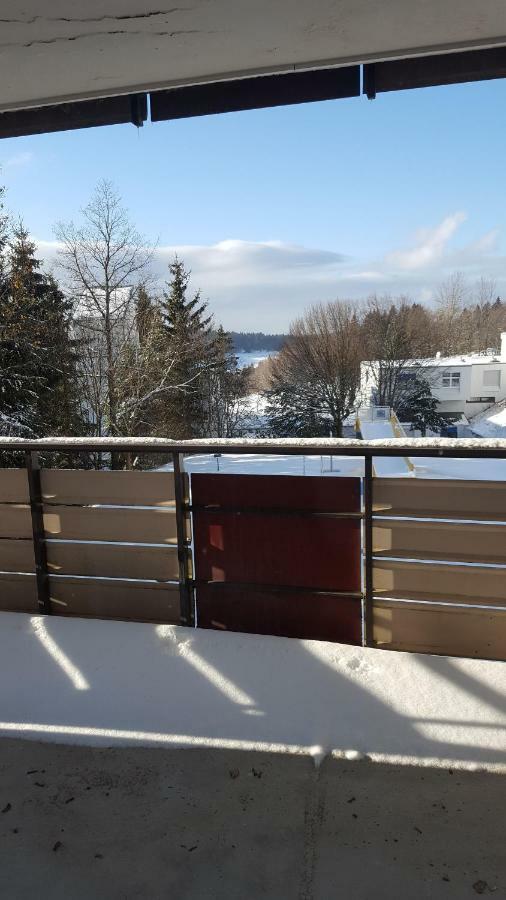 Ferienwohnung mit Blick in den Bayrischen Wald oberhalb von Sankt Engelmar Sankt Englmar Exterior foto