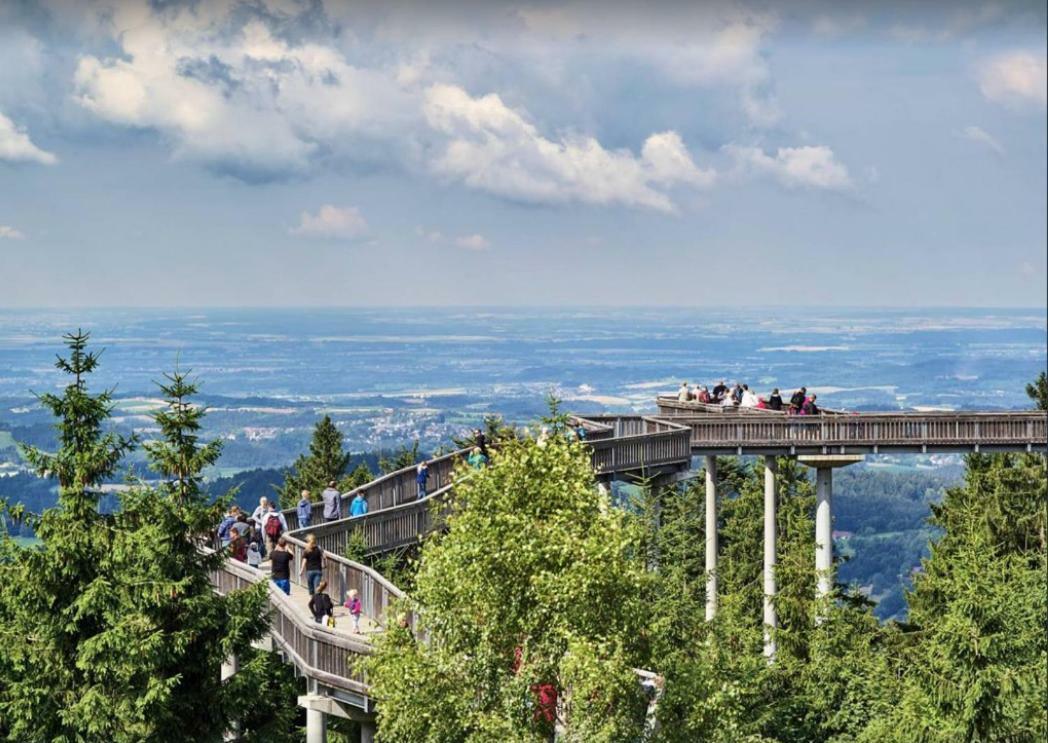 Ferienwohnung mit Blick in den Bayrischen Wald oberhalb von Sankt Engelmar Sankt Englmar Exterior foto