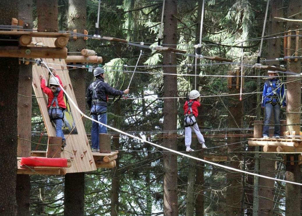 Ferienwohnung mit Blick in den Bayrischen Wald oberhalb von Sankt Engelmar Sankt Englmar Exterior foto